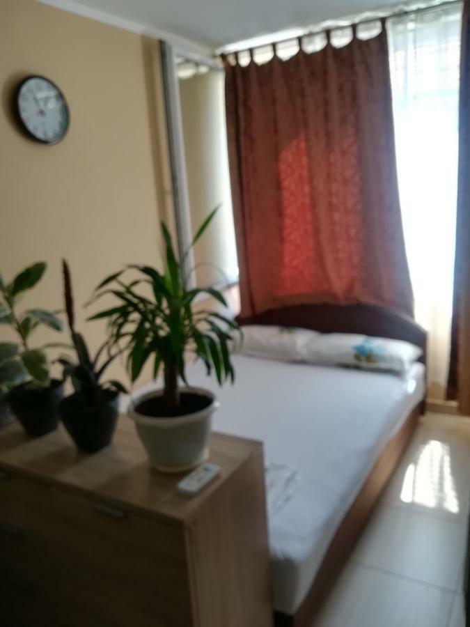 Apartment Vis Jaz Budva